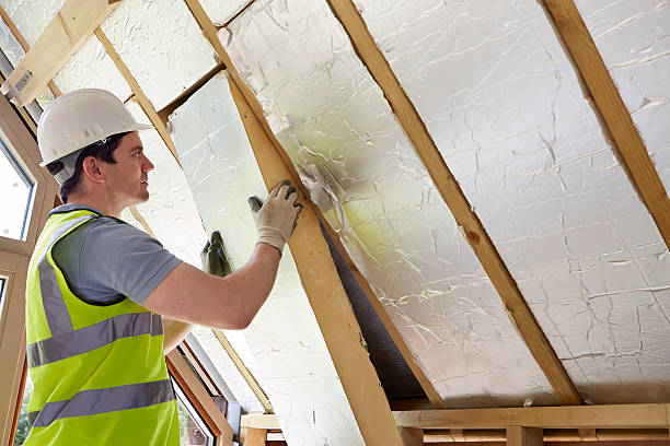 Best Eco-Friendly Insulation in , NH